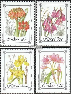 Produktbild von Briefmarken Südafrika - Ciskei 1988 Mi 127-130 (kompl.Ausg.) postfrisch Gefährdete Pflanzen