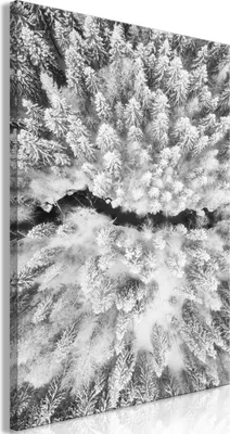 Produktbild von Italienischer Leinwand Leinwandbild - Cold Stream (1 Part) Vertical 40x60 cm Landschaften c-C-0280-b-a