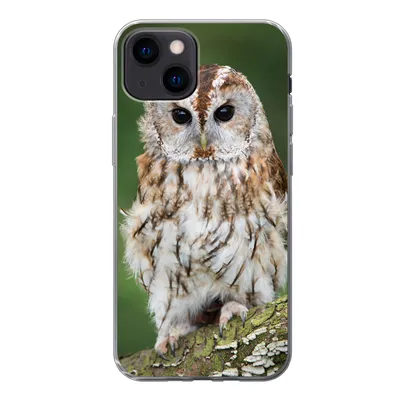 Produktbild von MuchoWow® Handyhülle Schutzhülle Hülle für iPhone 13 mini Braune Eule sitzt auf einem Baum Silikon Softcase Handy Hülle - Softcase
