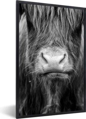 Produktbild von MuchoWow® Gerahmtes Poster Schottischer Highlander - Kuh - Schwarz - Weiß - Tiere 60x90 cm - Poster mit Schwarzem Bilderrahmen Wandposter Rahmen Foto Bilder - Kunst