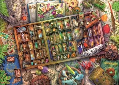 Produktbild von RAVENSBURGER Puzzle Př írodopisná sbírka 1000 dílků