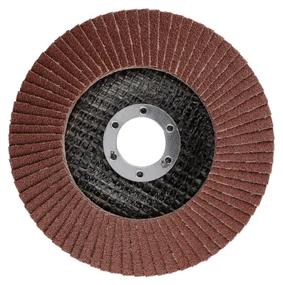 Productafbeelding van Schuurplaat, 125 x 22,2 mm, P100