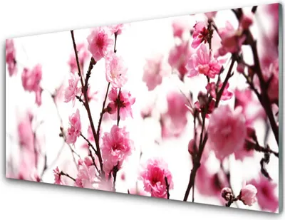 Produktbild von Acrylglasbilder 100x50 Wandbild Druck Zweige Blumen Pflanzen