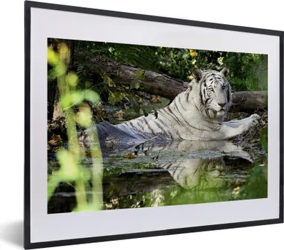 Produktbild von MuchoWow® MuchoWow® Gerahmtes Poster Weißer Tiger im Wasser 40x30 cm - Poster mit zchwarzem Bilderrahmen - Bilderrahmen - Poster im Rahmen