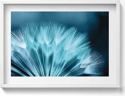 Produktbild von Nahaufnahme einer Schmeißfliege– Wandbild mit Rahmen – Gerahmtes Bild  – Wanddekoration – 70x50 cm –  Weiß Rahmen