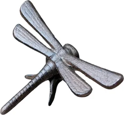 Immagine prodotto di Statua decorativa Libellula in ghisa
