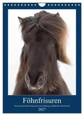 Produktbild von Föhnfrisuren (Wandkalender 2027 DIN A4 hoch), CALVENDO Monatskalender