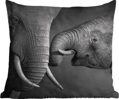 Produktbild von MuchoWow® Outdoor Kissen - Wildtiere - Elefant - Schwarz - Weiß - Porträt - 60x60 cm - Wetterfest - Lounge Kissen - Dekoration - Schlaf Kissen
