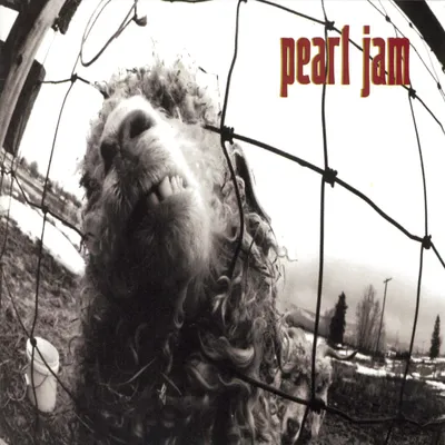 Obrázok produktu pre Pearl Jam: Vs.
