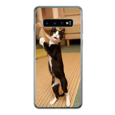Produktbild von MuchoWow® Handyhülle Schutzhülle Hülle für Samsung Galaxy S10 Katze - Wohnzimmer - Schwarz Silikon Softcase Handy Hülle - Handytasche