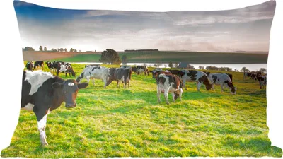 Produktbild von MuchoWow® Zierkissen Sofakissen Wohnzimmer Dekokissen 60x40 cm Kuh - Gras - Sonnenuntergang - Kopfkissen - Polster mit Foto