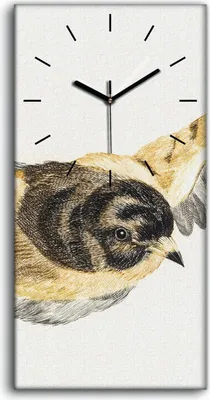 Produktbild von Küche Wohnzimmer Wand Leinwand Uhr Geräuschlos 30x60 Zeichnung Tier Vogel Kunst - schwarze Hände