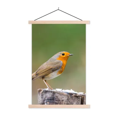 Produktbild von MuchoWow® Textilposter Tiere - Vogel - Rotkehlchen 60x90 cm mit holzfarbenen Rahmen - Textil
