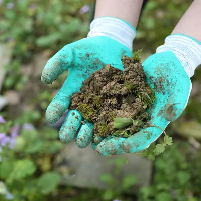 Produktbild von Tuinhandschuhe L, Antirutsch-Latexbeschichtung, 6 Paar, für Gartenarbeit