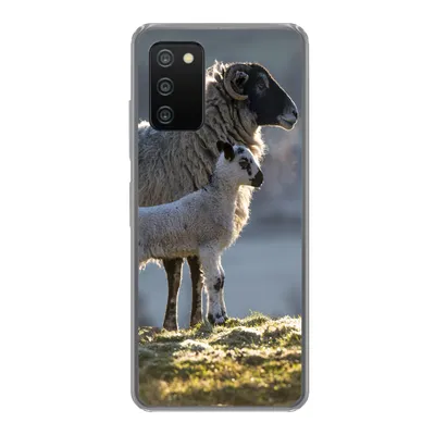 Produktbild von MuchoWow® Handyhülle Schutzhülle Hülle für Samsung Galaxy A03s Schaf - Lamm - Sonne Silikon Softcase Handy Hülle - Schutz