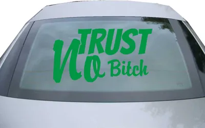 Produktbild von Indigos UG - Aufkleber Heckscheibe & Motorklappe DE6949 - grün - 600x328 mm - Trust no Bitch - Auto Scheiben Fenster Heckklappe Tuning Racing JDM - Die cut
