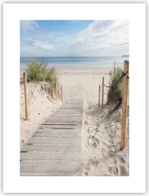 Produktbild von Poster - Poster ohne Rahmen - Strand Düne Eintritt - 30x40 cm - Wand Bild - Wanddeko - Wandbilder - Kunstposter - Wandposter - Bilder - Kunstdruck - Wanddekoration - Wandbild - P2XPA30x40-4188