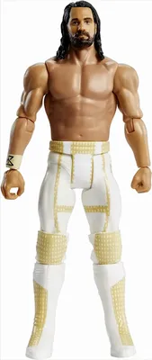 A full-body shot of a WWE Seth Rollins action figure.