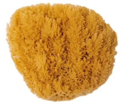 Produktbild von Naturschwamm Grass 16-18, ca.16-18 cm
