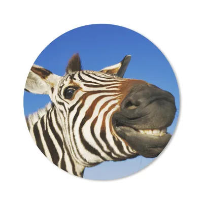 Produktbild von MuchoWow® Mauspad Mousepad Zebra - Lustig - Kinder - Jungen - Mädchen 20x20 cm - Mousepads - Maus Mat - Pad - Mausunterlage - Schreibtischmatte