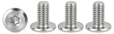 Productafbeelding van Flachkop Schrauben Torx M4x12mm, 20 Stuks Roestvrijstalen Schroefset