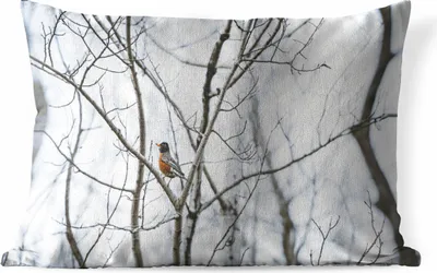 Produktbild von MuchoWow® Outdoor Kissen - Vogel in den Bäumen - 50x30 cm - Wetterfest - Lounge Kissen - Kissenhüle - baumwollgewebe - Deko-Kissenbezüge