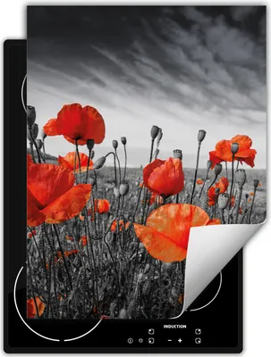 Produktbild von DarHaus Herdabdeckplatte Einteilig Küche Abdeckplatte für Glaskeramikfeld Abdeckung Induktionskochfeld Aufrollbare Matte 40x52 cm, grau - rot - Mohnblumen
