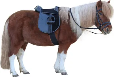 Produktbild von Kerbl Sattelset Economy Pony 15" 325415