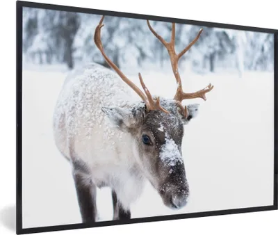 Produktbild von MuchoWow® MuchoWow® Gerahmtes Poster Hirsche - Rentiere - Schnee 90x60 cm - Poster mit zchwarzem Bilderrahmen - Fotorahmen - Foto-Plakat