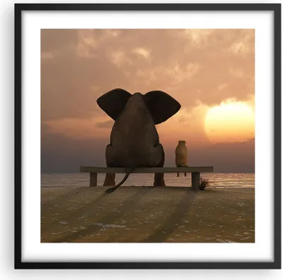 Produktbild von Gerahmtes Poster - Schwarzer Rahmen - Elefant Ufer Meer - 50x50 cm - Wand Bild - Wanddeko - Wandbilder - Kunstposter - Wandposter - Bilderrahmen - Bilder - Kunstdruck - Wandbild - P2BAC50x50-3555