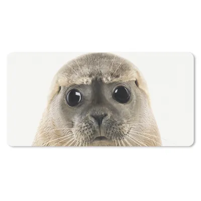 Produktbild von MuchoWow® Mauspad Mousepad Jungen - Robbe - Kinder - Mädchen - Tiere 60x30 cm - Mousepads - Maus Mat - Pad - Mausunterlage - Nachhaltig