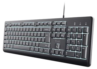 Immagine prodotto di Trust Primo Beleuchtete, Dimensioni reali (100%), Cavo, USB, QWERTY, Nero