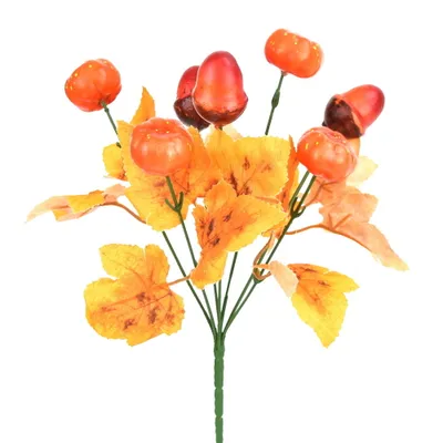 Image de Bouillon de glands et de citrouilles 30 cm