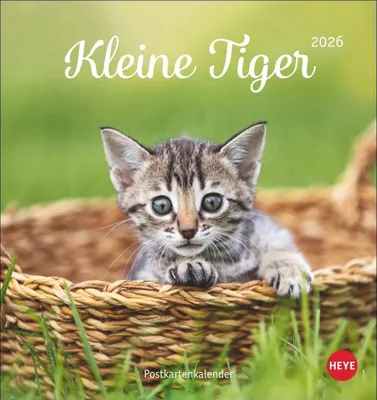 Produktbild von Katzen Postkartenkalender Kleine Tiger 2026