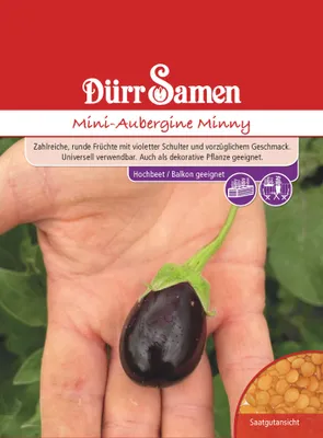 Artikelbild 1 von 'Mini Aubergine Minny' aus der Kategorie Auberginensamen