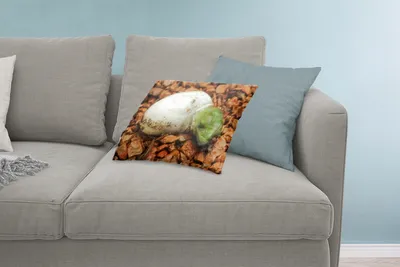 Produktbild von MuchoWow® Zierkissen Sofakissen Wohnzimmer Dekokissen 60x40 cm Tier - Chamäleon - Ei - Kopfkissen - Polster mit Foto