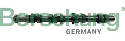 Produktbild von Borsehung B12431 Nockenwelle für VW GOLF VI (5K1) Polo Schrägheck (6R1, 6C1) GOLF PLUS (5M1, 521) Caddy III Kombi (2KB, 2KJ, 2CB, 2CJ) TOURAN (1T3)