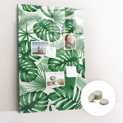 Obrázek produktu pro Magnetická Tabule na Zeď Skleněná - Memo Board Kleněnou Přední Stranou - 5 magnetů v balení - 60x90 cm - Listy rostliny Monstera
