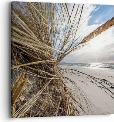 Produktbild von Bild auf Leinwand - Leinwandbild - Einteilig - Küste Perspektive Gras - 40x40cm - Wand Bild - Wanddeko - Wandbilder - Leinwanddruck - Bilder - Wanddekoration - Leinwand bilder - AC40x40-4526