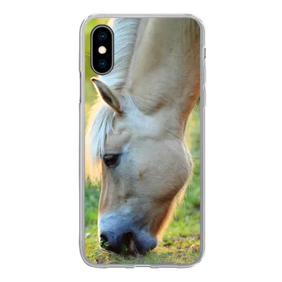 Produktbild von MuchoWow® Handyhülle Schutzhülle Hülle für iPhone X Weidendes Fjordpferd an einem Sommertag Silikon Softcase Handy Hülle - Handyhülle