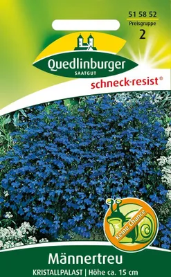 Artikelbild 1 von 'Männertreu Kristallpalast' aus der Kategorie Blumensamen