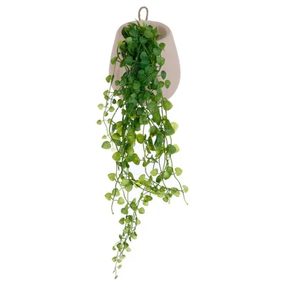 Image de Lierre artificiel en pot suspendu, 58 cm