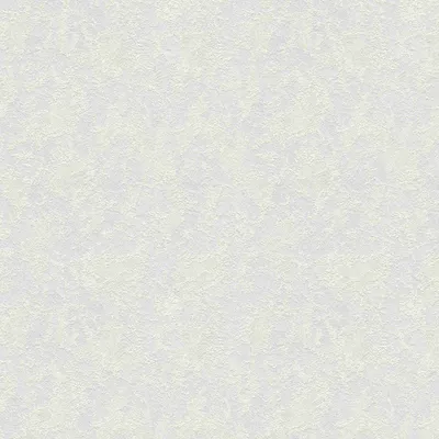 Produktbild von A.S. Création Vliestapete Meistervlies Pro Protect 2, weiss, überstreichbar, 25,00 m x 1,06 m, 145215, 1452-15
