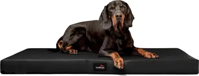 Productafbeelding van tierlando® Orthopedisch hondenbed ALICE EASY CLEAN, kunstleer. Afmetingen: 100x80 cm | Kleur: 03 Zwart