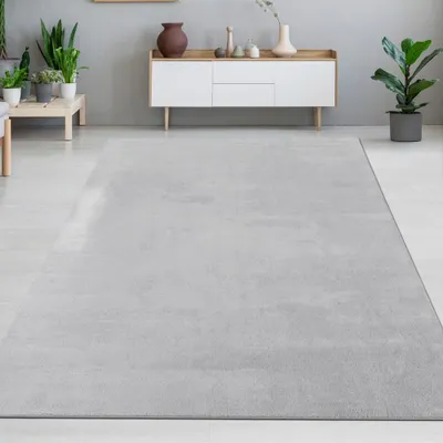 Obrázek produktu pro Moderní koberec stříbrný sametově hebký, snadno udržovatelný s okouzlujícím leskem Velikost - 160 x 220 cm