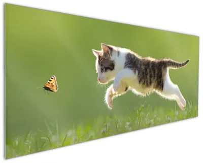 Produktbild von Wallario Küchenrückwand aus Glas, Größe: 125 x 50 cm, Motiv: Süße Katze fängt Schmetterling im Grünen | Spritzschutz | abwischbar | pflegeleicht | in