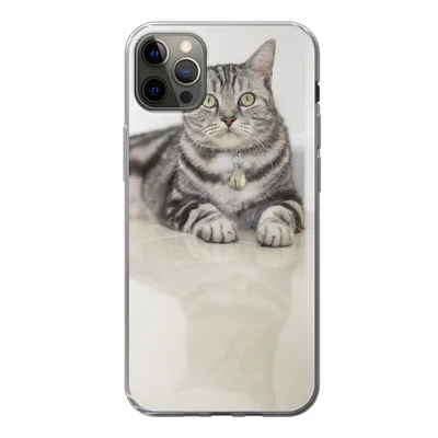 Produktbild von MuchoWow® Handyhülle Schutzhülle Hülle für iPhone 13 Pro Max Katze - Grau - Tier - Mädchen - Kinder - Jungen - Kind Silikon Softcase Handy Hülle - Mobiltelefon