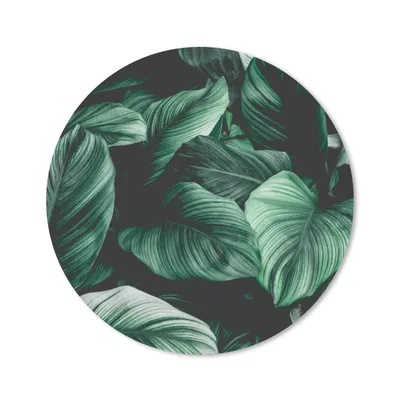 Produktbild von MuchoWow® Mauspad Mousepad Dschungel - Blätter - Tropisch - Pflanzen - Natur 20x20 cm - Mousepads - Maus Mat - Pad - Mausunterlage - Schreibtischmatte