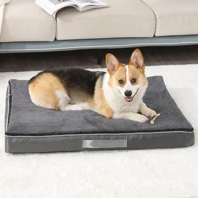 Produktbild von Orthopädisches Waschbares Hundebett Grau L