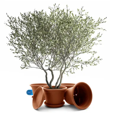 Produktbild von BigDean 4 Stück Blumentopf mit Untersetzer rund ø 40 cm Terracotta – wetterfester Pflanzkübel Gefertigt in Europe